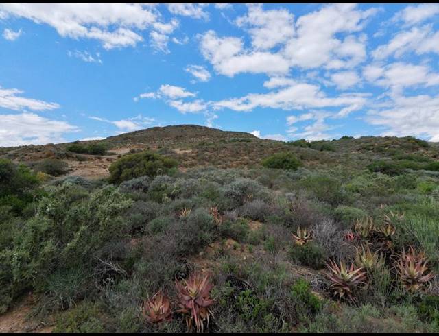 LAND FOR SALE IN ROBERTSON RURAL